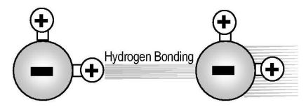 Hydrogen Bonding of Structured Water